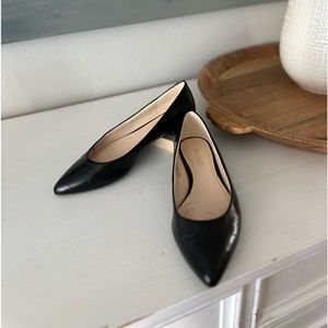Pointed toe flats